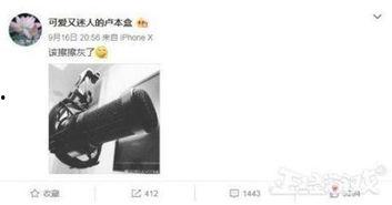 一飞直播爆料视频在线观看,揭秘幕后真相，精彩瞬间不容错过